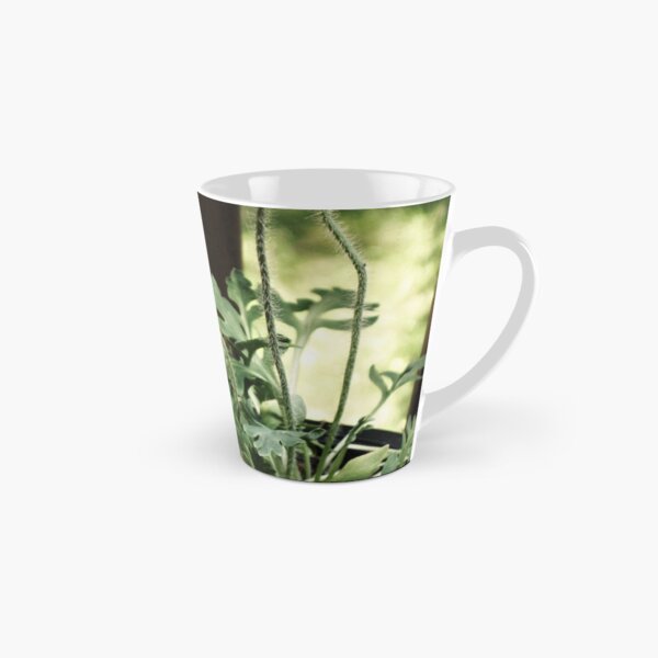 Orange Poppies Tall Mug