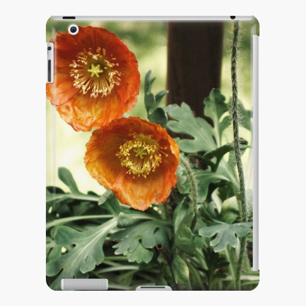 Orange Poppies iPad Snap Case