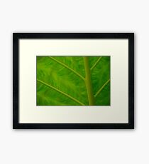 leaf Framed Print
