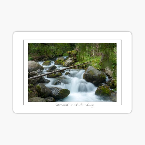 Zakopane Poland Tatrzański Park Narodowy Tatra National Park. River on Dolina Olzczyka Sticker