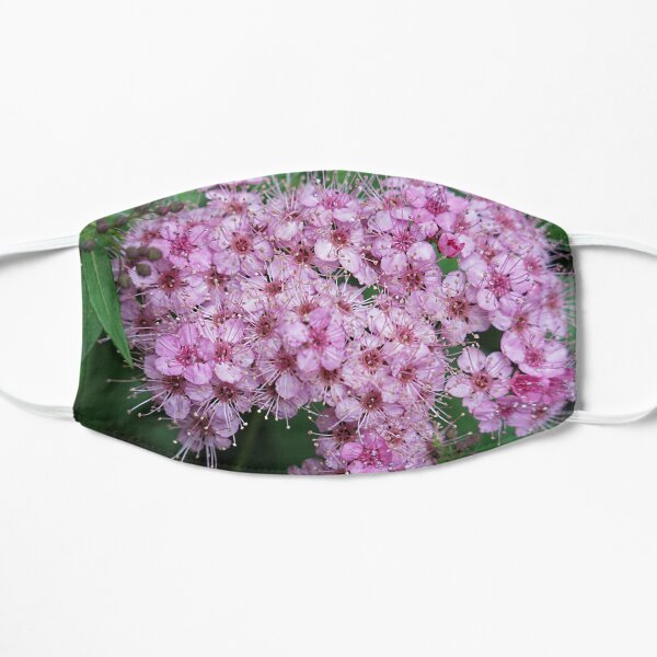 Pink Blossoms Flat Mask