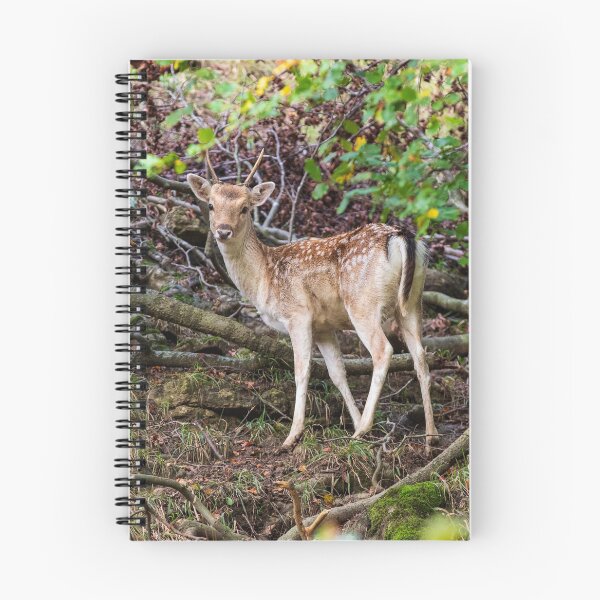 Item preview, Fallow Deer designed and sold by MJ-Piccys.
