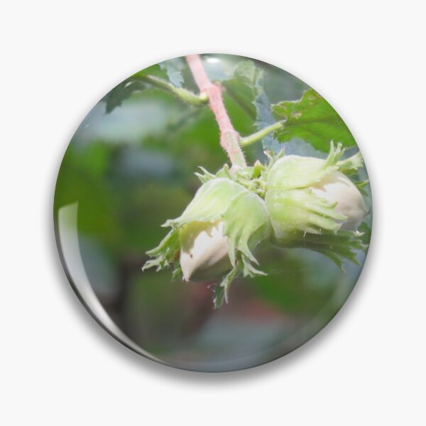 Item preview, Hazelnuts designed and sold by AHELENE.