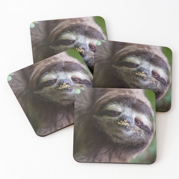 Item preview, Three-toed sloth designed and sold by Luis Sandoval.