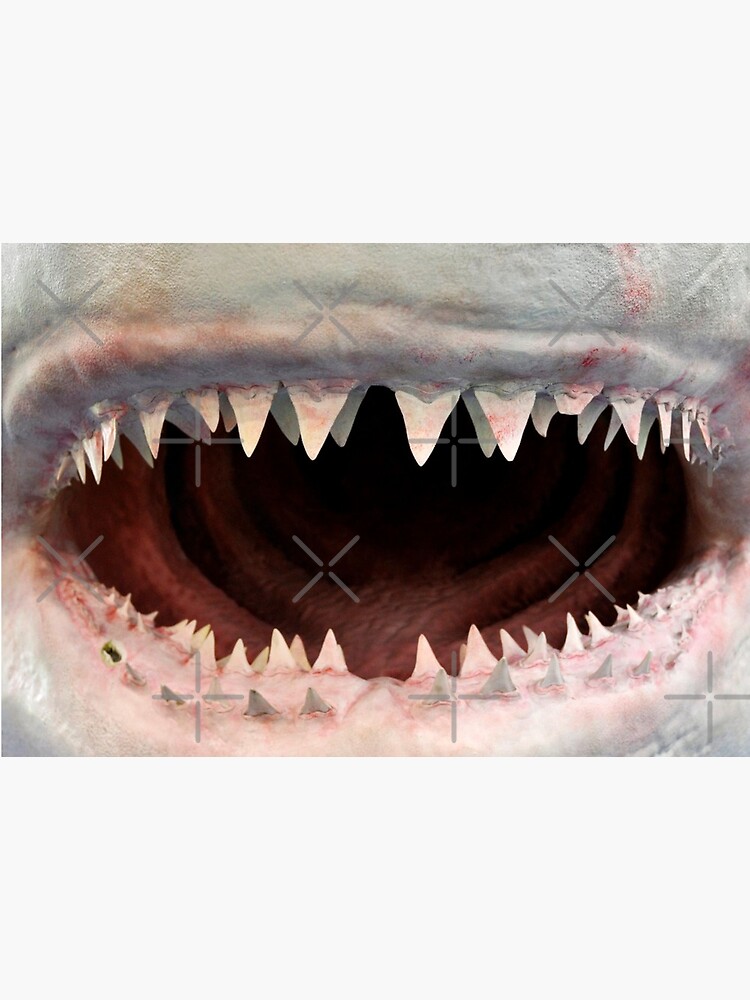 Shark Face Masks Redbubble - roblox jaws orca