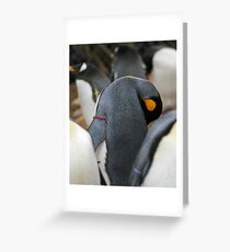 I'm sleeping, sssh Greeting Card