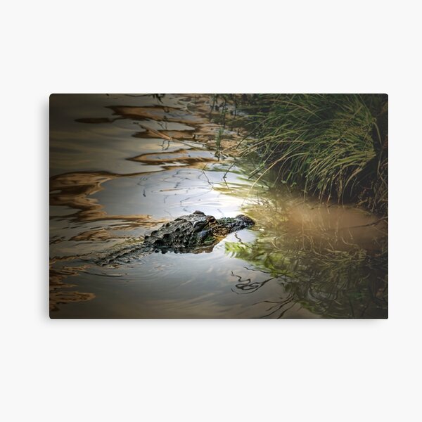 something in the water Metal Print