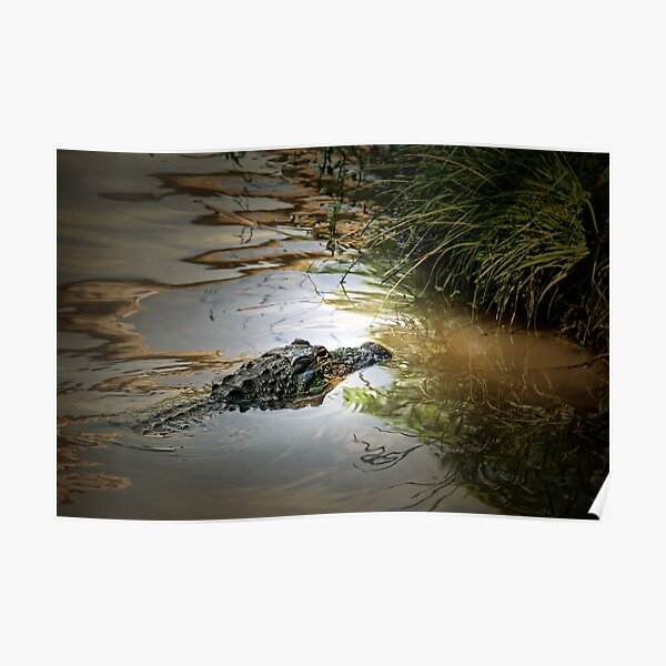 something in the water Poster