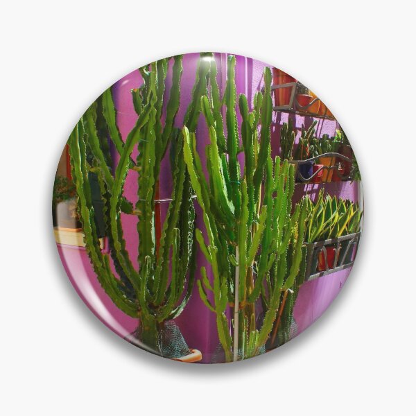 Item preview, cactus de Burano designed and sold by AHELENE.