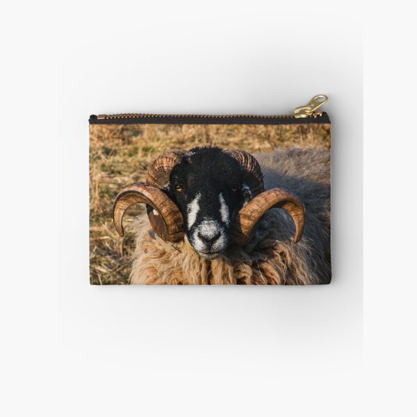 Item preview, Dalesbreed Tup designed and sold by MJ-Piccys.