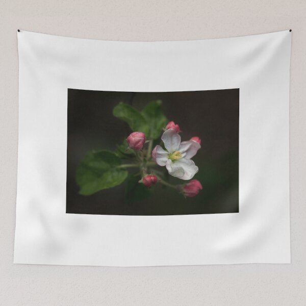 Item preview, Pink blossom in spring garden designed and sold by olena2552.