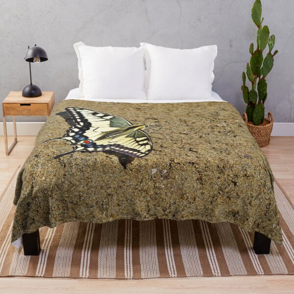 Item preview, Sand Swallowtail Butterfly designed and sold by VikingVisual.