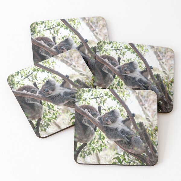 Item preview, Koala Photography  designed and sold by NatashaBalletta.