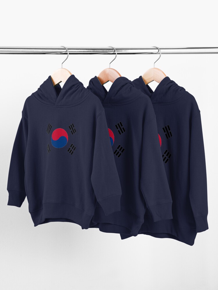Anti social social deals club korean flag hoodie