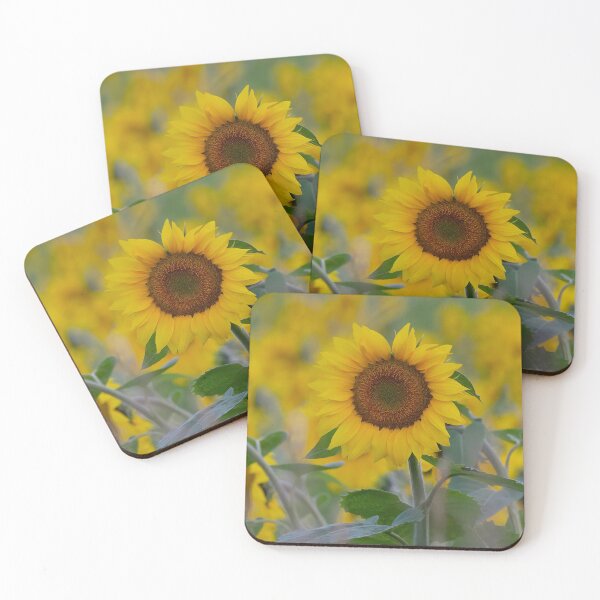 Item preview, Sunflower at sunrise designed and sold by James Cumming.