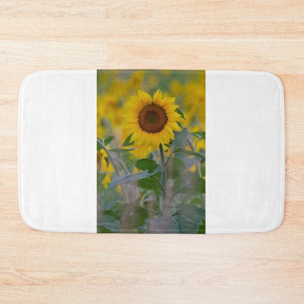 Item preview, Sunflower at sunrise designed and sold by James Cumming.
