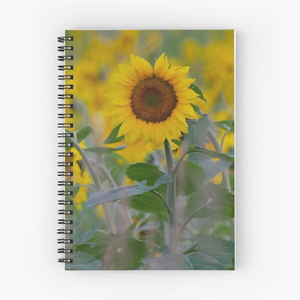Item preview, Sunflower at sunrise designed and sold by James Cumming.