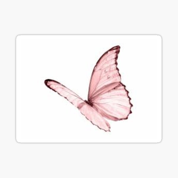 butterfly pastel pink aesthetic png