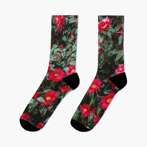 Item preview, Sasanqua Camellia Flowers are Blooming in Spring designed and sold by Chee Sim.