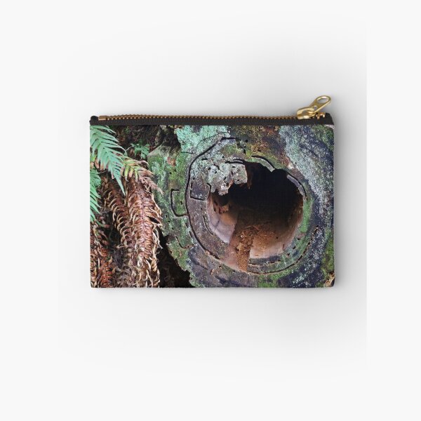Item preview, Deception Pass Hollow Log designed and sold by VikingVisual.