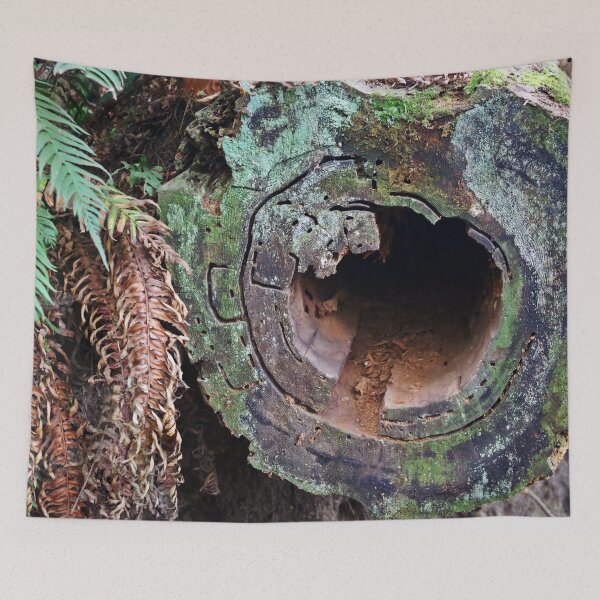 Item preview, Deception Pass Hollow Log designed and sold by VikingVisual.