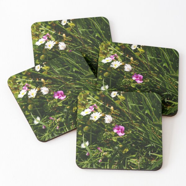 Item preview, Pink-Sorrel (Oxalis articulata) designed and sold by IOMWildFlowers.