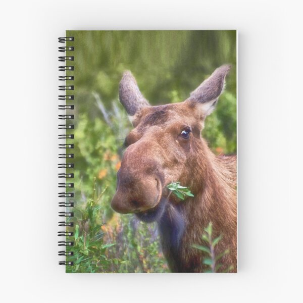 Item preview, Happy Moose designed and sold by Kathy Weaver.