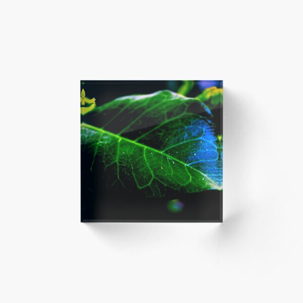Item preview, leaves designed and sold by andreafs.