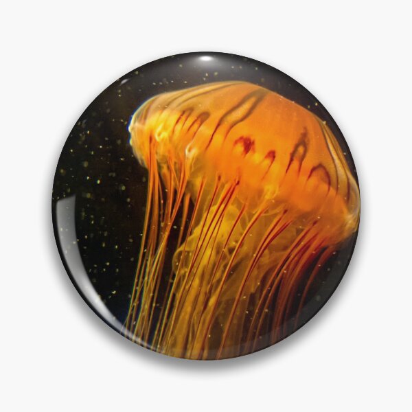 Item preview, Underwater world of stars designed and sold by Art in Nature.