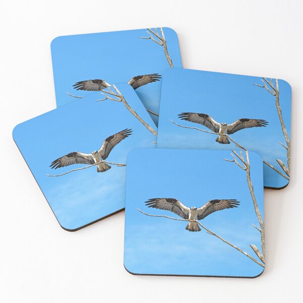 Item preview, Osprey Landing designed and sold by Deb Oppermann.