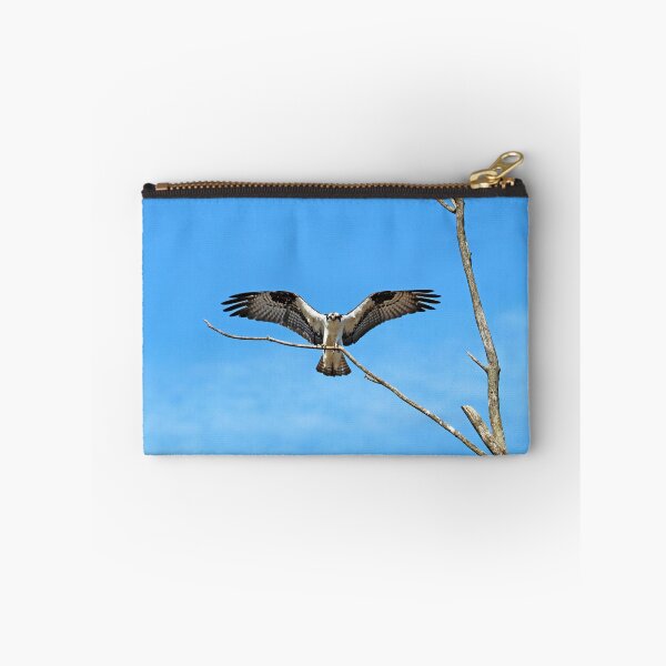 Item preview, Osprey Landing designed and sold by Deb Oppermann.