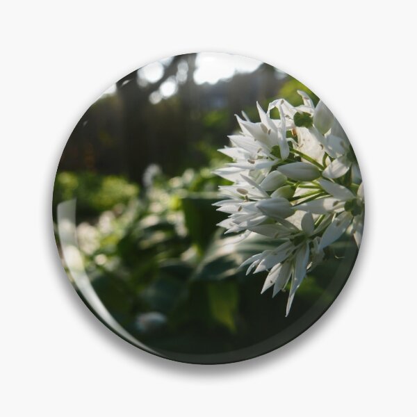 Item preview, Ramsons (Allium ursinum) designed and sold by IOMWildFlowers.