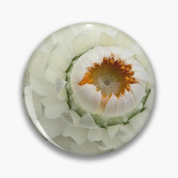 Item preview, Petal precision designed and sold by Art in Nature.