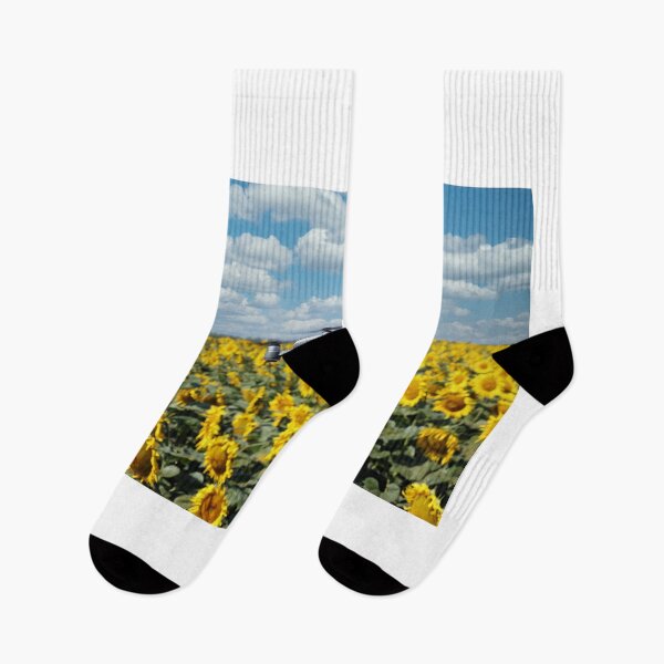 Item preview, The drone is flying over the sunflower field in summer designed and sold by goceris.