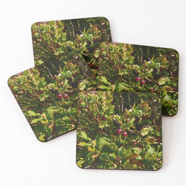 Item preview, Bilberry (Vaccinium myrtillus) designed and sold by IOMWildFlowers.
