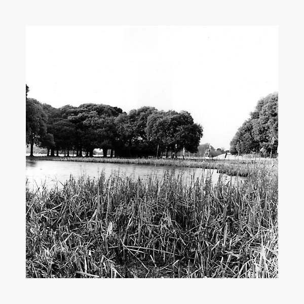 Item preview, The Dog Pond in The Phoenix Park, Dublin designed and sold by Dave  Kennedy.