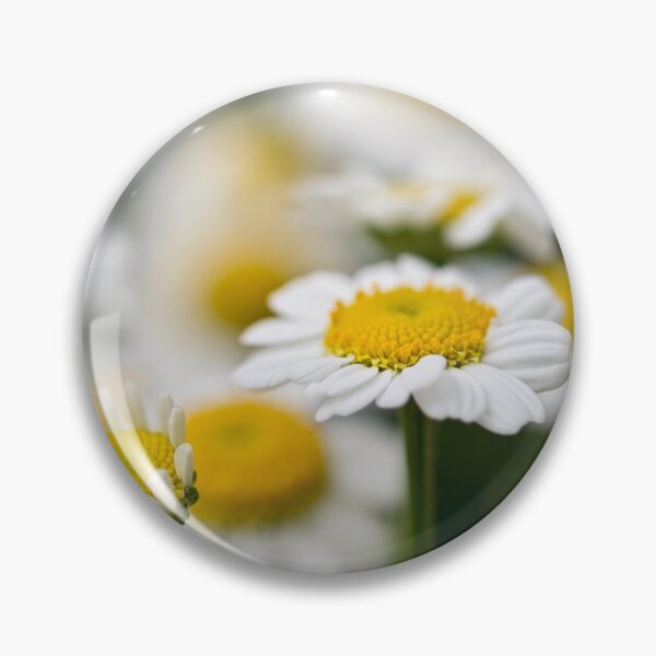 Item preview, Daydreaming daisies designed and sold by Art in Nature.