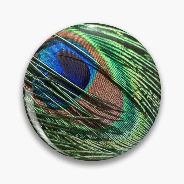 Aperçu de l'œuvre Plumage irisé créée et vendue par Art in Nature.