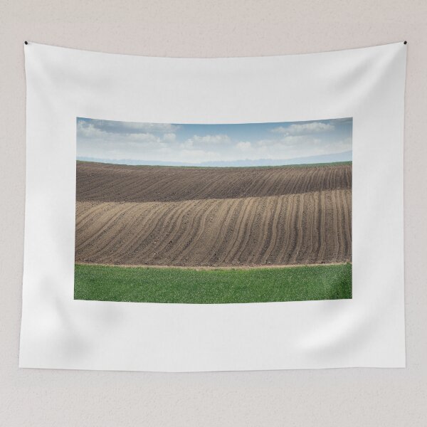 Item preview, Plowed and green wheat fields in spring landscape agriculture designed and sold by goceris.