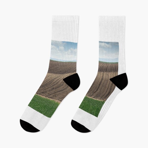 Item preview, Plowed and green wheat fields in spring landscape agriculture designed and sold by goceris.