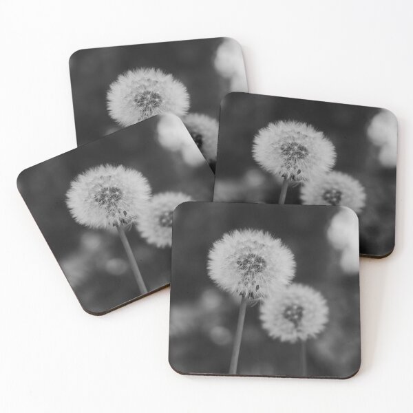 Item preview, Two Dandelions in a black and white background designed and sold by santoshputhran.