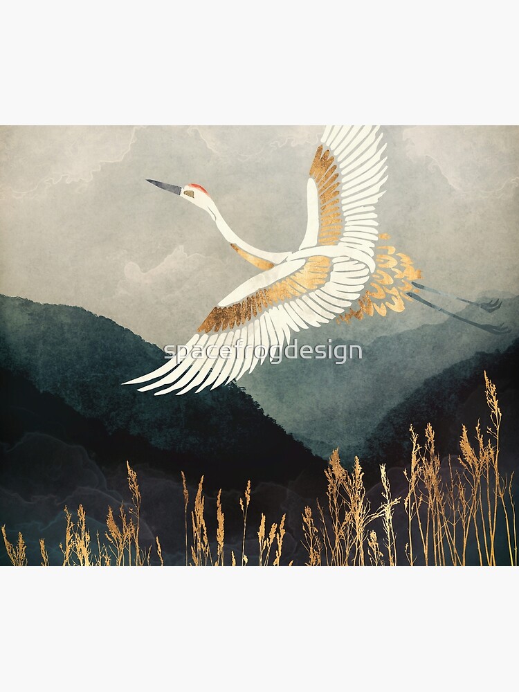 Elegant Flight by spacefrogdesign