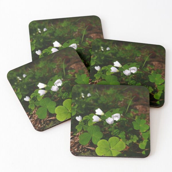 Item preview, Wood Sorrel (Oxalis acetosella) designed and sold by IOMWildFlowers.