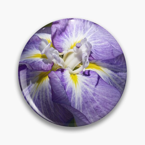 Item preview, Japanese iris in the spotlight designed and sold by Art in Nature.