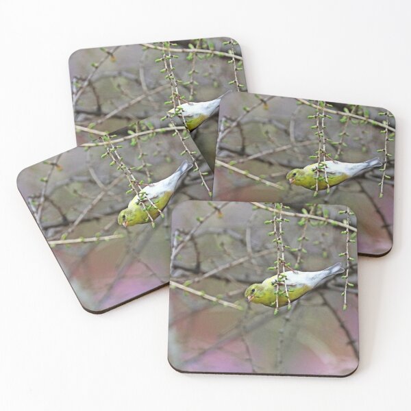 Item preview, Goldfinch Swinging On The Larch designed and sold by Deb Oppermann.