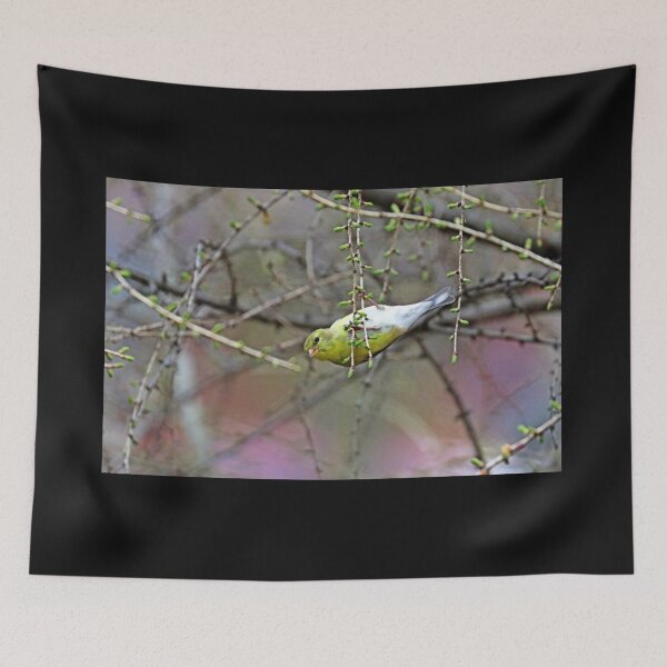 Item preview, Goldfinch Swinging On The Larch designed and sold by Deb Oppermann.
