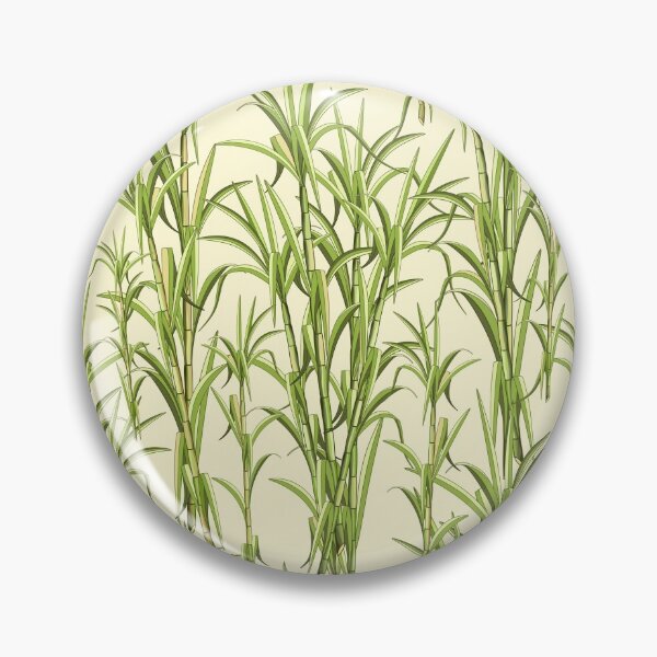 Item preview, Sugar Cane Exotic Plant designed and sold by BluedarkArt.