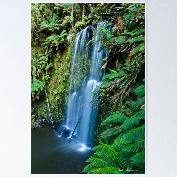 Item preview, Beauchamp Falls, Ottway National Park , Victoria, Australia designed and sold by JuliaKHarwood.