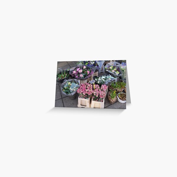 Spring Collection2 Greeting Card