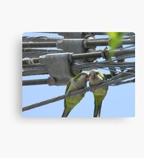 Don't Talk, ETHEL! She's a Muggle! Canvas Print